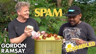 Gordon Ramsay Makes SPAM Scrambled Eggs in Hawaii  Scrambled [upl. by Yanrahc736]