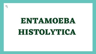 Entamoeba histolytica life cycle  morphology  Laboratory diagnosis  full explained  medzukhruf [upl. by Senoj]