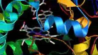 P450 Coupling Enzyme Active Site [upl. by Eetnuahs391]