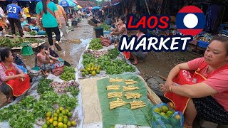 Laos food market at Luang Prabang 2024 [upl. by Elletnahc478]