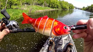 Goldfish Lure Fishing For A River BEAST [upl. by Adekan]