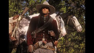 RDR2 How to get the Prairie Poppy for Herbalist 9 with Arthur [upl. by Haerdna267]