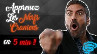 🔴 NE CONFONDEZ PLUS LES NERFS CRANIENS  part2  DR ASTUCE [upl. by Naujak366]