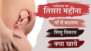 प्रेगनेंसी का तीसरा महीना THIRD MONTH OF PREGNANCY  3rdmonthpregnancy drshabeenajawed pregnancy [upl. by Sasnett]