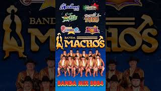 Banda mix de los 90s  Banda El Mexicano Banda Machos Banda Maguey Arkangel R15 [upl. by Oijres104]