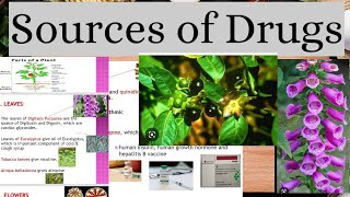 Sources Of Drugs in Pharmacology Natural Semisynthetic and Synthetic [upl. by Shiri]