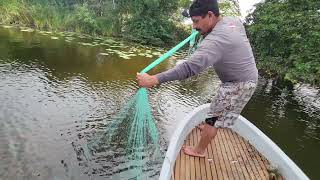 Pesca con atarraya con esta técnica pescamos 23 mojarras de un atarrayaso [upl. by Erodisi]