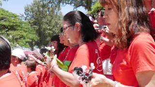 Ukulele Festival Hawaii 2015 – Nihon Ukulele Association Japan [upl. by Hsirahc]