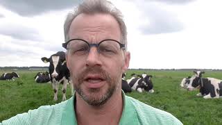 Ik mag nu de koeien op vrijwillige basis weiden  Hoe zit dat  Boer Gerrit vlogt [upl. by Porte]