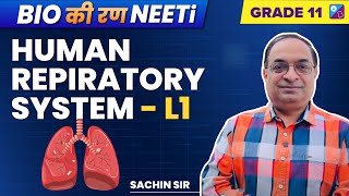 Breathing amp Exchange of Gases Class 11 Biology  Human Respiratory System  NEET 2023  Sachin Sir [upl. by Nanam329]