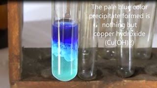 Reaction of copper sulphate with Ammonium hydroxide [upl. by Aniroc351]