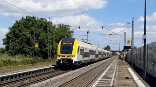 Bahnverkehr in Ringsheim  BR 101 146 185 186 401 412 463 475 482 701 1462 [upl. by Mou]