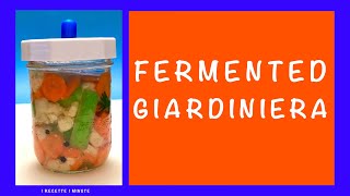 Fermented Giardiniera  A New Twist on the Classic Italian Condiment [upl. by Erb]