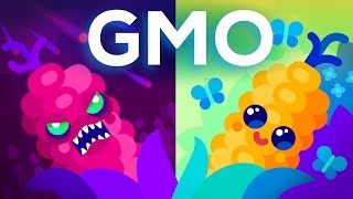 Are GMOs Good or Bad Genetic Engineering amp Our Food [upl. by Lokcin964]