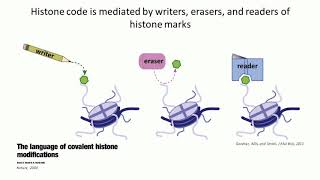 Deciphering Cancer The Intersection of Epigenetics Metabolism and Tumorigenesis [upl. by Adnilav480]