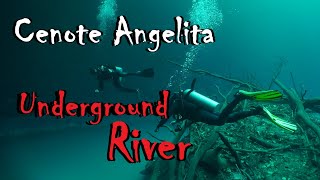 Diving cenote Angelita  Tulum Mexico  Koox Adventures [upl. by Norby]