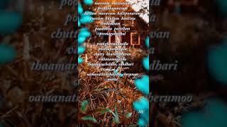 RRB music 🎶 whatsapp status lyrical video Malayalam songMannum mazhayum premikkum neram [upl. by Hakon]