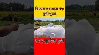 বিশ্বের সবচেয়ে বড় দুর্গাপূজা বন্ধ করে দেওয়া হলো। কেন  Durga Puja 2024 [upl. by Cadman]