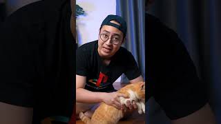 MEDY RENALDY NGEREVIEW MAINAN KUCING GARFIELD [upl. by Anerual]