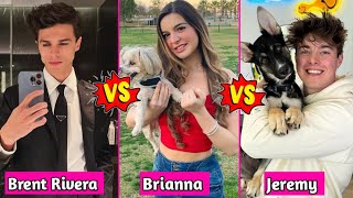 Brent Rivera vs Jeremy Hutchins vs Brianna Mizura Lifestyle Comparison 2024 [upl. by Erdnua]