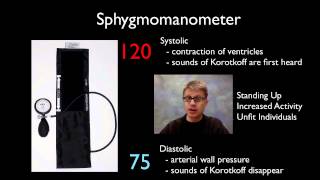 AP Biology Lab 10 Physiology of the Circulatory System [upl. by Anirbaz211]