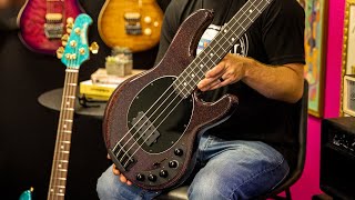 Ernie Ball Music Man StingRay and DarkRay Basses  New from NAMM 2024 [upl. by Leahcimal]