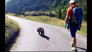 Engelberg Wanderung 1 Route Juli 2022 [upl. by Aurelea]