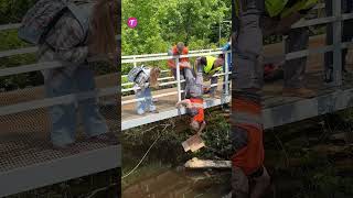 Rescue Operation Construction Workers Save Pet from Ditch shorts [upl. by Posehn]