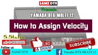 How to Assign Velocity in Yamaha DTX Multi 12 [upl. by Arihas]