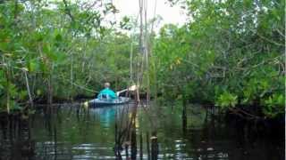 Kayaking With Gulf Coast Kayak  Matlacha Florida [upl. by Elinor]