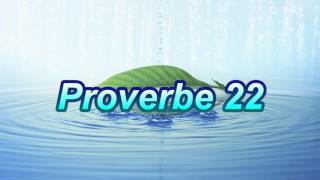 Proverbe 22 [upl. by Yadrahs]