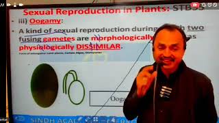 life cycle of gymnosperms chapter reproduction by spsc Sindh academy umerkot leactures 12 class [upl. by Marentic]