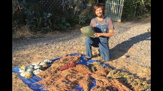 Matt Powers on SEED SAVING  The Advanced Permaculture Student Online [upl. by Stacee]