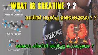 BUILD LEAN MUSCLE MASS WITHOUT INCREASING FAT   CREATINE EXPLAINED IN MALAYALAM FITNESS MALAYALAM [upl. by Ramirolg233]