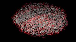 Liposome formation DPD simulation [upl. by Chiles]