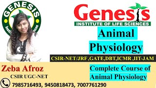 Absorption in Gastrointestinal track  Animal Physiology  Lecture11  CSIR NETJRF  Life science [upl. by Aneleve]