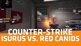 CounterStrike Isurus no pudo con RED Canids en el primer clasificatorio al Major [upl. by Limbert58]