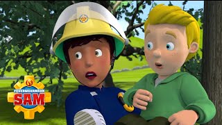 Ellie rettet James und die kleinen Kadetten  Feuerwehrmann Sam  NEUE EPISODE  Cartoons für Kinder [upl. by Cristionna]