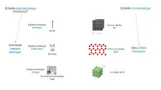 Du macroscopique au microscopique [upl. by Reve524]