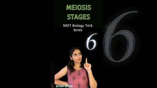 Meiosis stages📝  Cell cycle and cell Division shorts neet ytshorts [upl. by Ameekahs]