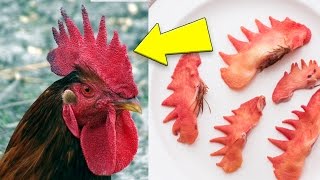 10 Most DISGUSTING Foods In The World People ACTUALLY Eat That  GROSS [upl. by Joanna231]