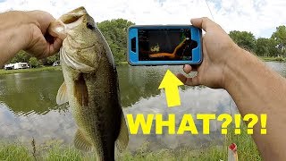 How to Turn Your Phone into a FISH FINDER for Bank Fishing [upl. by Rudich]