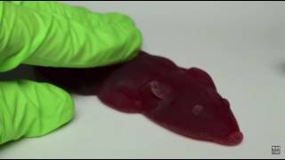 Jelly Belly Pet Rat Gummi Candy [upl. by Ruscher]