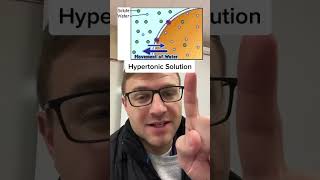 Isotonic Hypertonic Hypotonic Solutions [upl. by Pironi555]