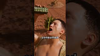 Why You Shouldnt Drink Cactus Water 😱 [upl. by Lerner736]