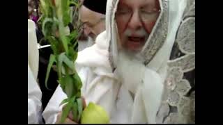 How Kabbalists Wave the Lulav and Etrog on Sukkot with Kavanot of Rashash Intentions [upl. by Nnaeiram916]