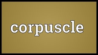 Corpuscle Meaning [upl. by Ylirama]