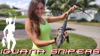 Iguana Solutions wipes out pesky invasive iguanas in South Florida [upl. by Haziza]