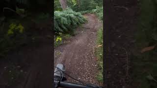 STILE COP  CANNOCK CHASE  RIDGE RUN Full Video on Channel [upl. by Sello]