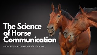 Decode Your Horses Secret Language Expert Reveals Calming Signals amp Scent Work [upl. by Ordisi]